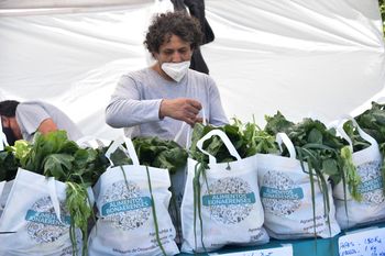El Ministerio de Desarrollo Agrario presentó la plataforma web Mercados bonaerenses.