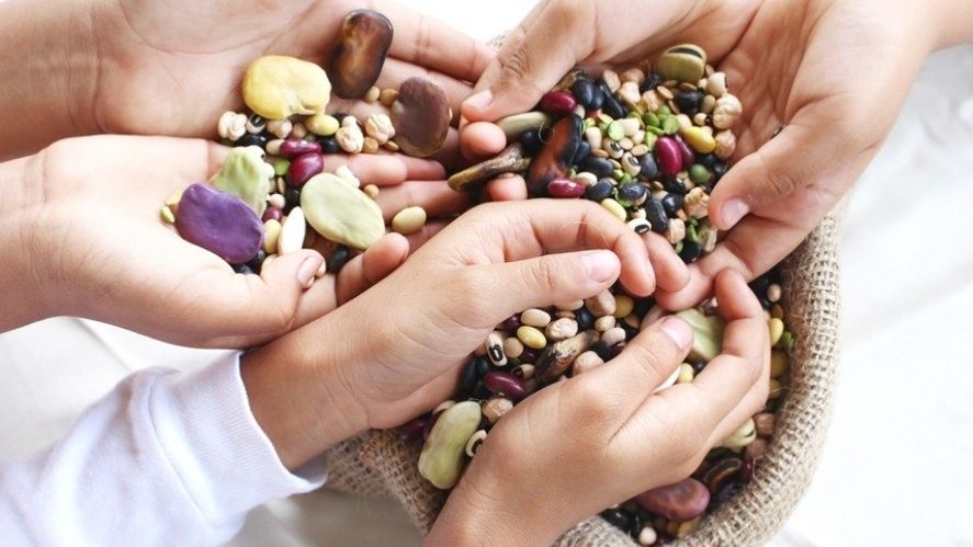El Colegio de Nutricionistas bonaerense alertó sobre el bajo consumo de legumbres en el país y explicó los beneficios de este tipo de alimento. 