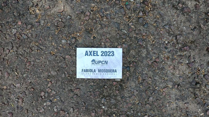 Los mensajes a favor de la reelección de Axel Kicillof llevan la firma de Fabiola Mosquera, titular de UPCN