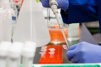 Reporte diario de Coronavirus: 646.358 contagios totales en la provincia de Buenos Aires. 