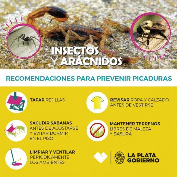 El Municipio de La Plata brindó recomendaciones para prevenir picaduras de alacranes y escorpiones