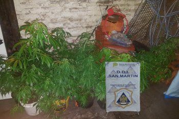 En una de las casas allanadas por el crimen del policía secuestraron marihuana