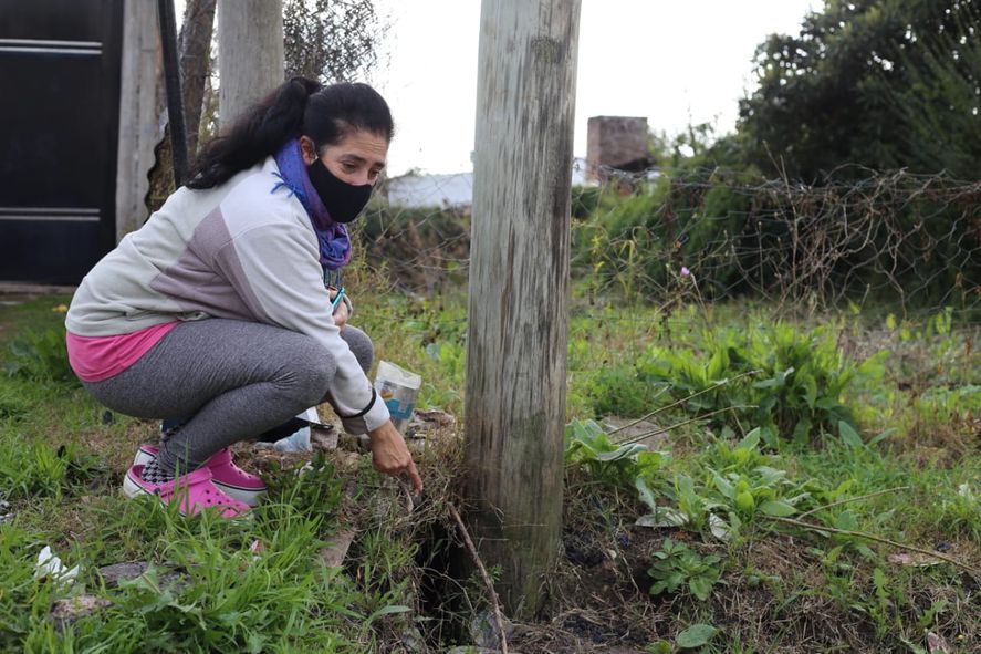 Los vecinos conviven con las ratas en el barrio de Villa Elvira de La Plata