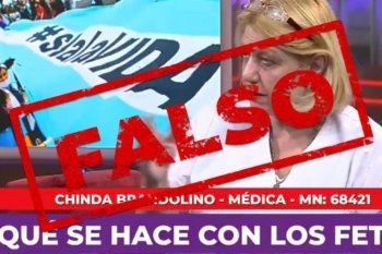 Dos afirmaciones sobre aborto y vacunas de la Dra Brandolino fueron desmentidas con datos científicos por el sitio Chequeado 