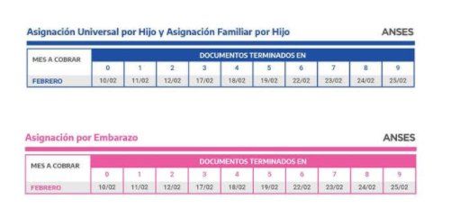 La ANSES publicó el calendario de pagos para febrero