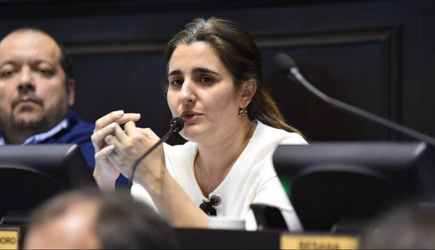 Maricel Etchecoin Moro, una de las diputadas de Juntos que impulsa la legalización de las licencias familiares