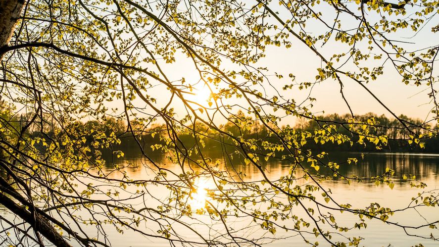 Se acerca la primavera y, antes de hacer planes para disfrutar con la familia y amigos, es importante saber cómo estará el clima.