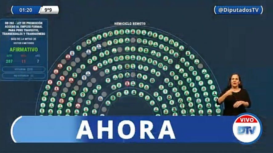Votación en Diputados
