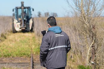 Trenes Argentinos hizo un llamado a licitación para recuperar el tendido ferroviario
