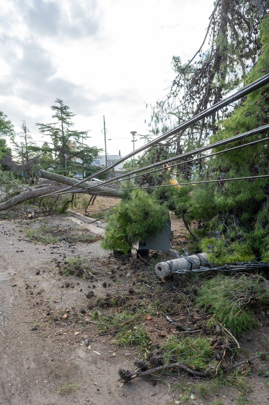 Así quedaron las redes eléctricas de Bahía Blanca tras la tormenta