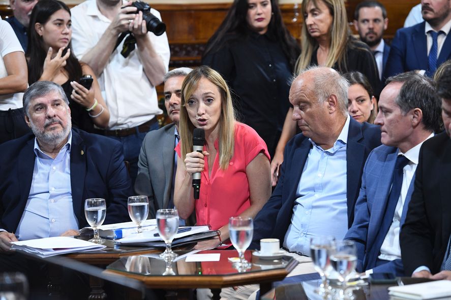 Dos meses después de que se firmara el mega DNU, la comisión bicameral del Congreso comenzó a tratarlo.