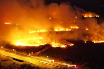 un impresionante incendio forestal castigo a campana, en el norte bonaerense