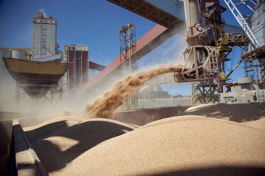 El sector agroexportador fue uno de los más beneficiados durante el primer trimestre del gobierno de Javier Milei.
