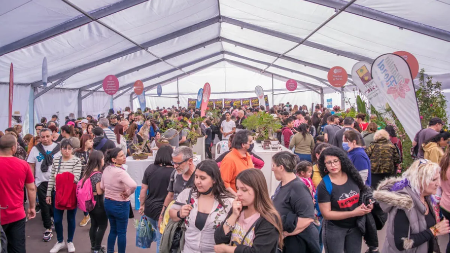 El viernes 18, sábado 19 y domingo 20 de octubre, en la Plaza Buján, se realizará la Fiesta del Plantín Floral de Moreno.