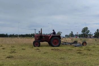intendentes bonaerenses salen a cortar el pasto en las rutas nacionales y exponen el abandono de vialidad