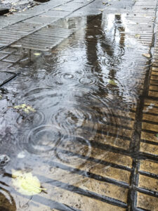 Clima en La Plata hoy, viernes 1 de agosto: jornada lluviosa con posibilidad de mejoras hacia la tarde
