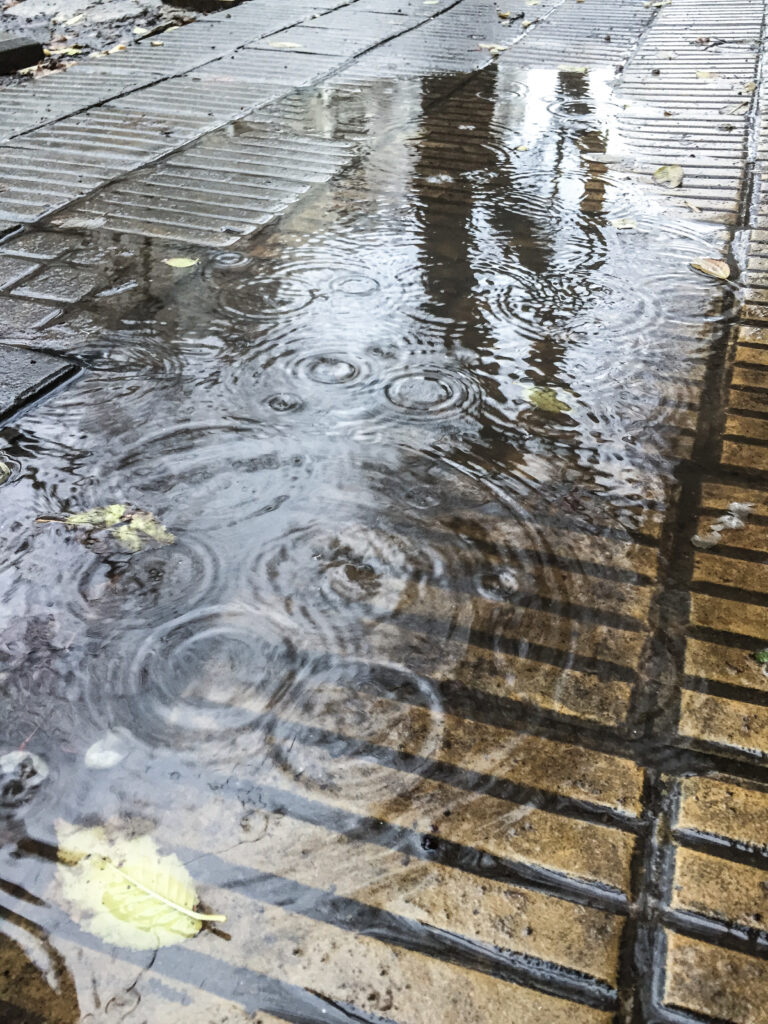 Clima en La Plata hoy, viernes 1 de agosto: jornada lluviosa con posibilidad de mejoras hacia la tarde