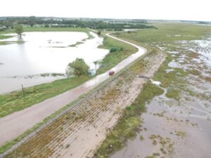 Prorrogaron la emergencia agropecuaria en Trenque Lauquen: hay unas 40 mil hectáreas afecadas