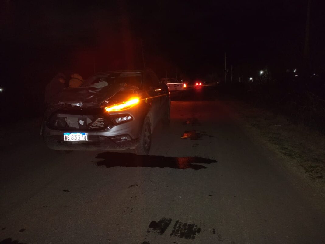 Otra muerte por el tránsito en La Plata: una camioneta atropelló y mató a un hombre