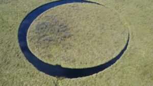 Una isla que gira sola en el Delta: el fenómeno argentino que nadie logra explicar
