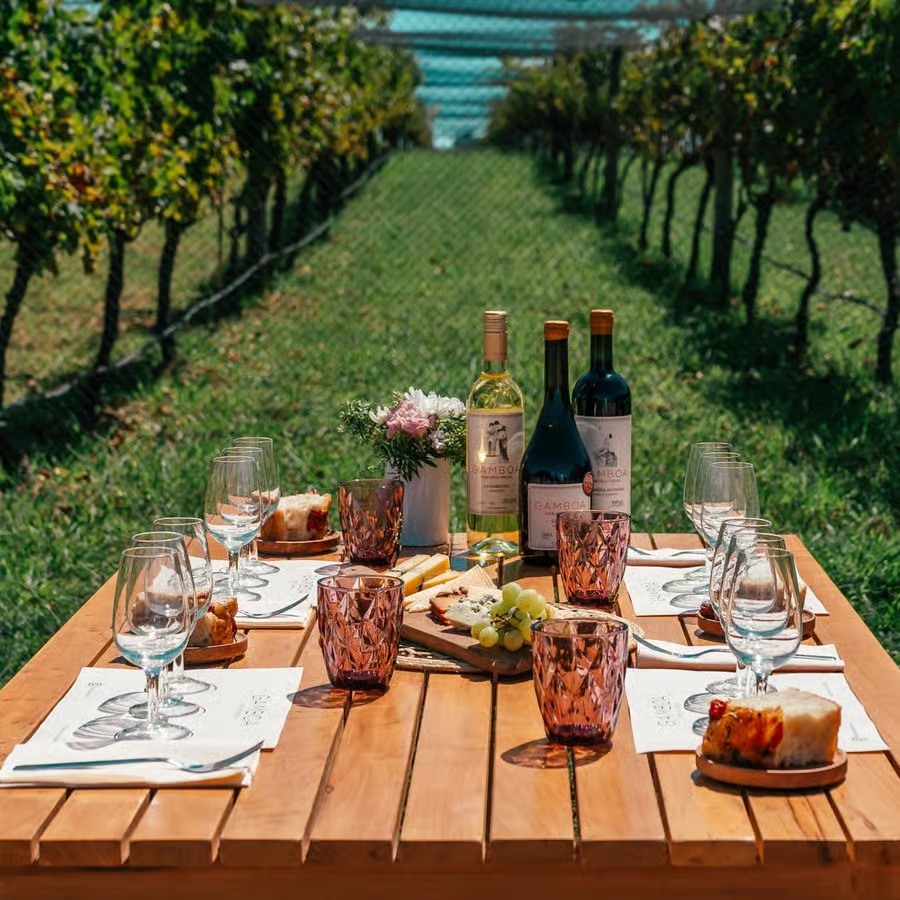Mesa de cata con vinos y copas en una bodega bonaerense, ideal para visitas en familia durante las vacaciones de invierno.
