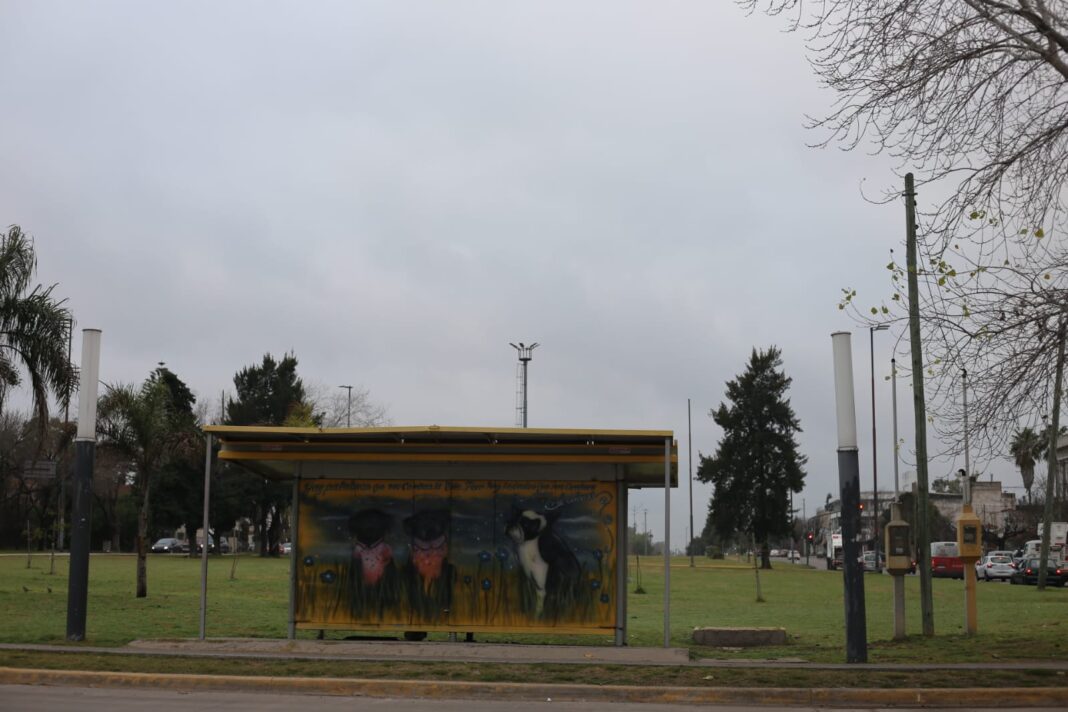 Parada de colectivo en La Plata durante una mañana fría y nublada.