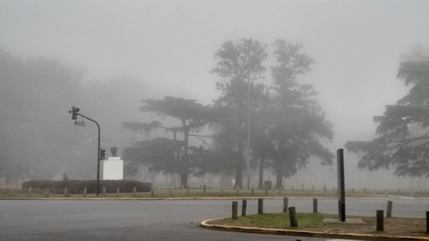 Alerta por niebla en la provincia de Buenos Aires: visibilidad reducida ...