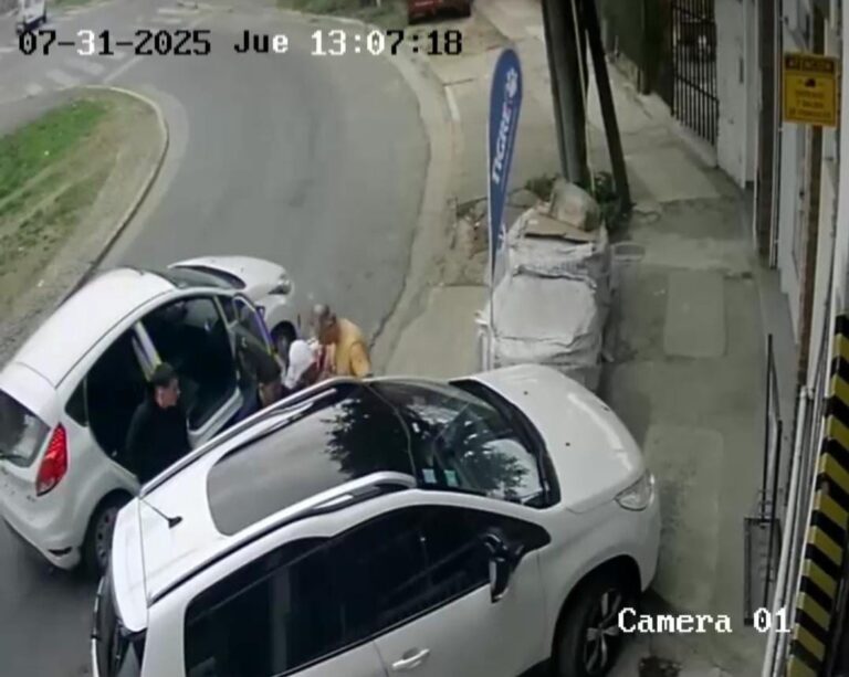 En 45 segundos: así actuó una banda delictiva para robar un auto en La Matanza