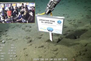 Streaming del CONICET: emotiva despedida y récord de audiencia en la última inmersión del Talud Continental IV