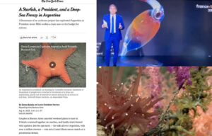 La expedición submarina en el mar argentino tambien es furor en los medios del exterior: ¿hasta cuándo se la puede ver?